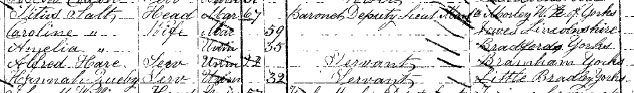 Titus Salt in 1871 Census